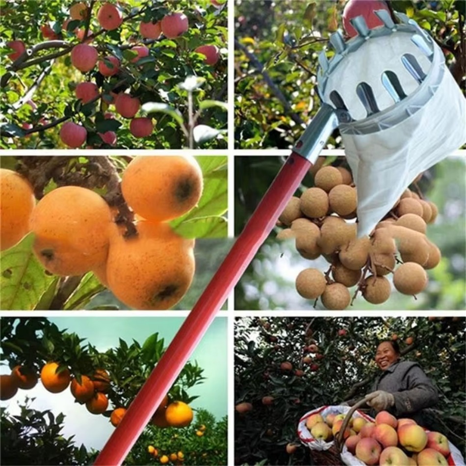 Farming Agriculture Tools - Çok Amaçlı Teleskopik Galvanizli Demir Meyve