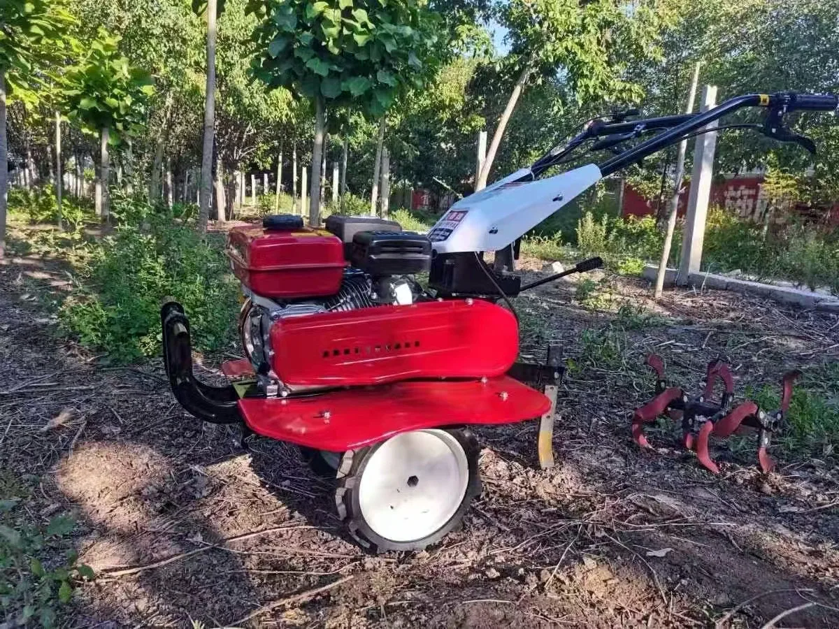 Sıcak Fırsat En İyi Çapa Makin - Organic Farming In Agriculture incelemesi ve fiyatı