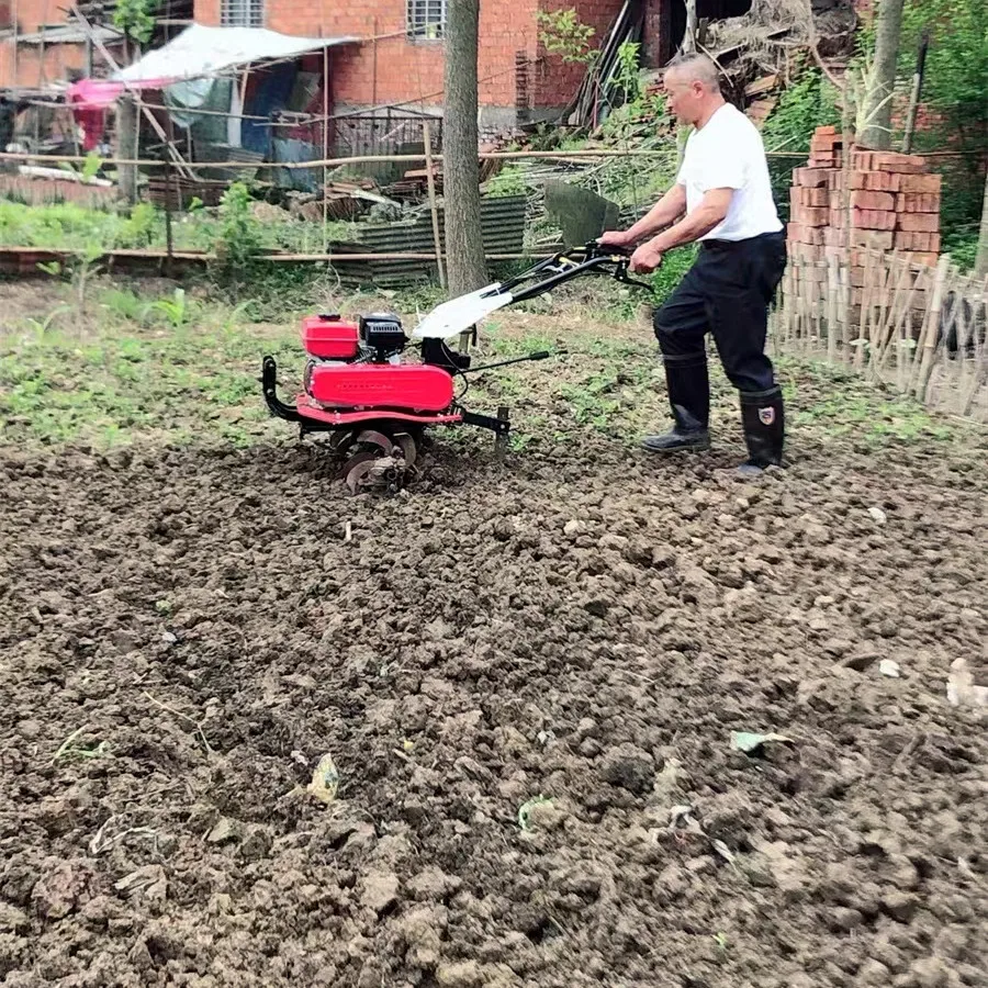 Sıcak Fırsat En İyi Çapa Makin - Organic Farming In Agriculture incelemesi ve fiyatı