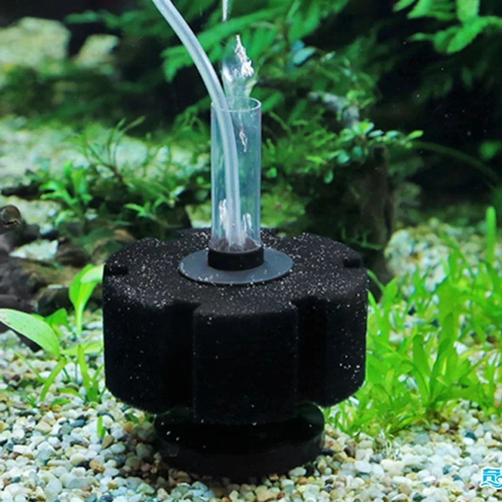 Akvaryum filtre süngeri balık  - Aquaculture Aerator Pump incelemesi ve fiyatı