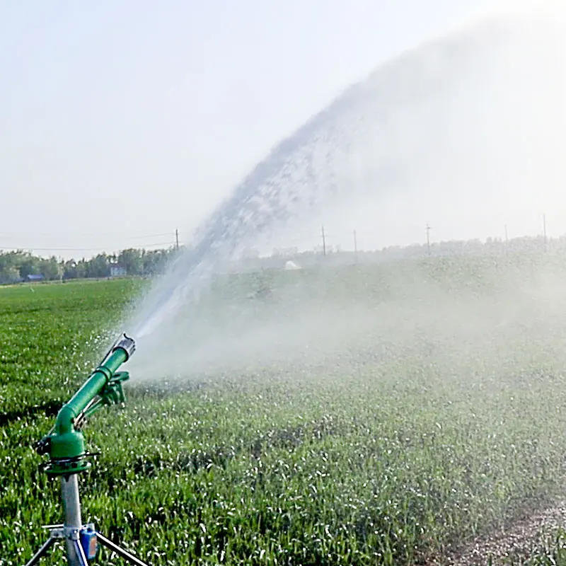 Tarımsal Mısır Çiftliği Yağmur - Organic Farming In Agriculture incelemesi ve fiyatı