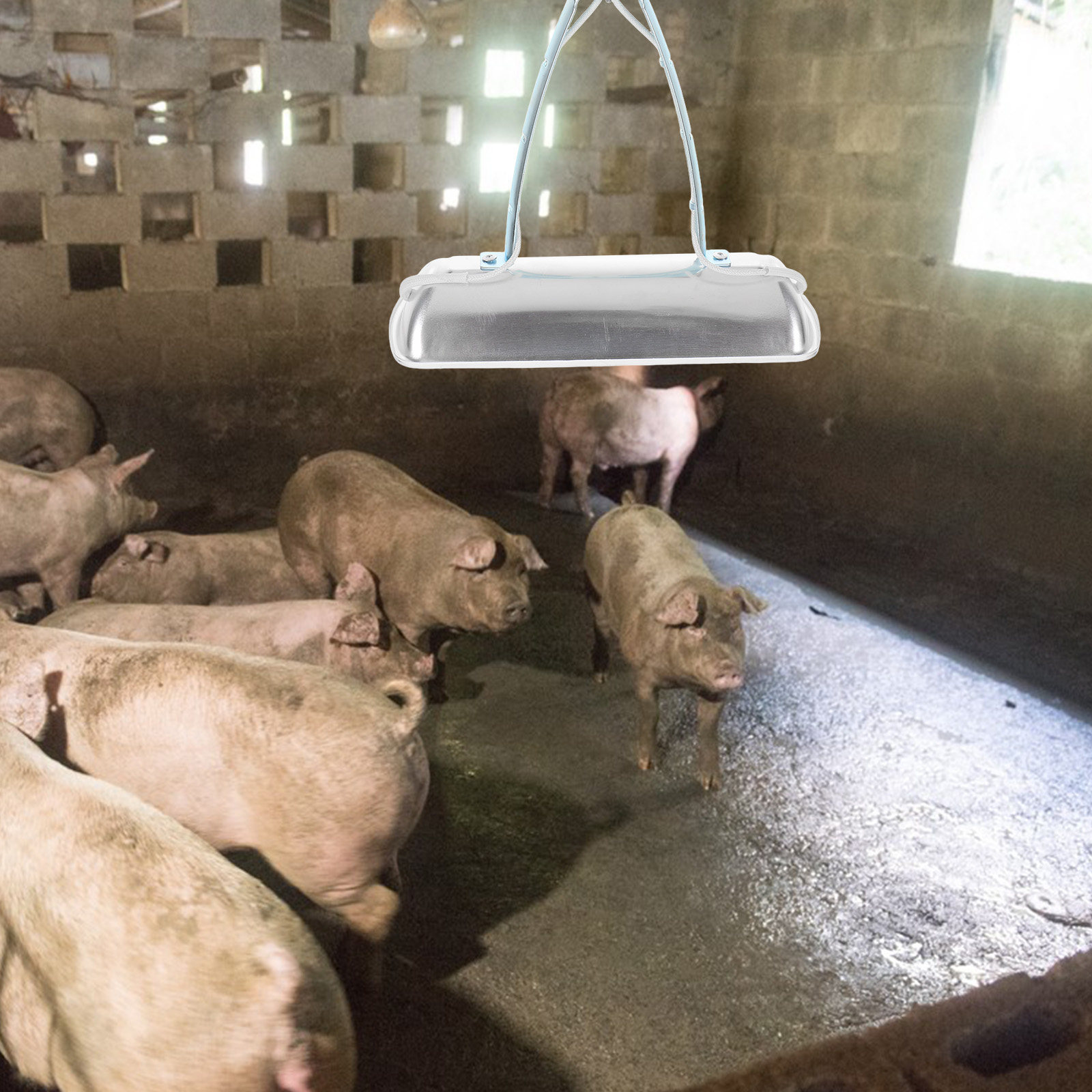 Domuz Çiftliği Koruma Lambası  - Farming A incelemesi ve fiyatı